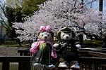 Dcim12118/DSC_0239