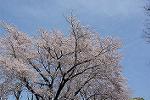 Dcim12118/DSC_0254