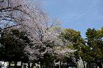 Dcim12118/DSC_0256