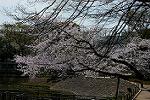 Dcim12118/DSC_0259