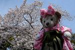 Dcim12118/DSC_0288
