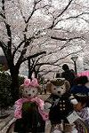 Dcim12119/DSC_0346