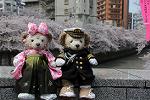 Dcim12119/DSC_0357