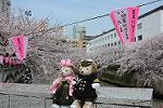 Dcim12119/DSC_0380