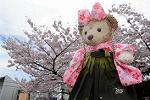 Dcim12122/DSC_0700