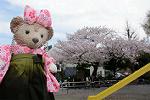 Dcim12122/DSC_0701