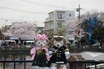 Dcim12122/DSC_0713