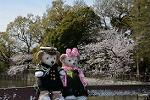 Dcim12122/DSC_0772