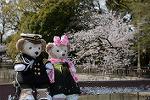 Dcim12122/DSC_0774