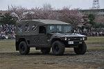 Dcim12123/DSC_0253