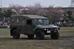 Dcim12123/DSC_0255