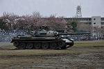 Dcim12123/DSC_0262