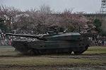 Dcim12123/DSC_0279