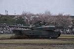 Dcim12123/DSC_0300