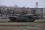 Dcim12123/DSC_0303