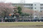 Dcim12126/DSC_1185