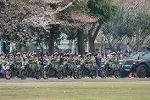 Dcim12126/DSC_1187