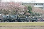 Dcim12127/DSC_1223