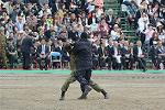 Dcim12129/DSC_1525