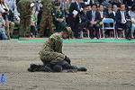 Dcim12129/DSC_1537