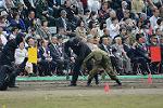 Dcim12129/DSC_1569