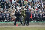 Dcim12129/DSC_1605