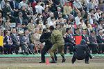 Dcim12129/DSC_1607