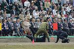 Dcim12129/DSC_1610