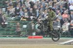 Dcim12131/DSC_1787