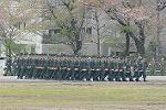 Dcim12131/DSC_1853