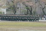Dcim12131/DSC_1854