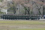Dcim12131/DSC_1855