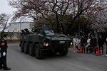 Dcim12134/DSC_2203