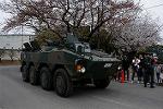 Dcim12134/DSC_2204