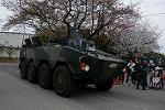 Dcim12134/DSC_2212