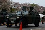 Dcim12134/DSC_2246