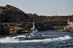 Dcim12135/DSC_0415