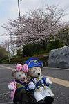 Dcim12136/DSC_2298
