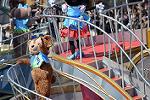 Dcim12139/DSC_2745