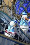 Dcim12139/DSC_2879