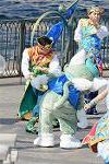 Dcim12141/DSC_3124