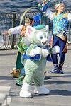 Dcim12141/DSC_3142