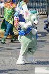 Dcim12141/DSC_3153