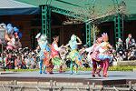 Dcim12142/DSC_3206
