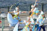 Dcim12143/DSC_3464