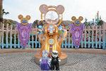 Dcim12158/DSC_5555