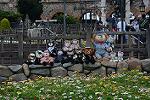 Dcim12193/DSC_0528