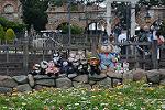 Dcim12193/DSC_0529
