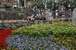 Dcim12193/DSC_0536