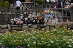 Dcim12193/DSC_0539
